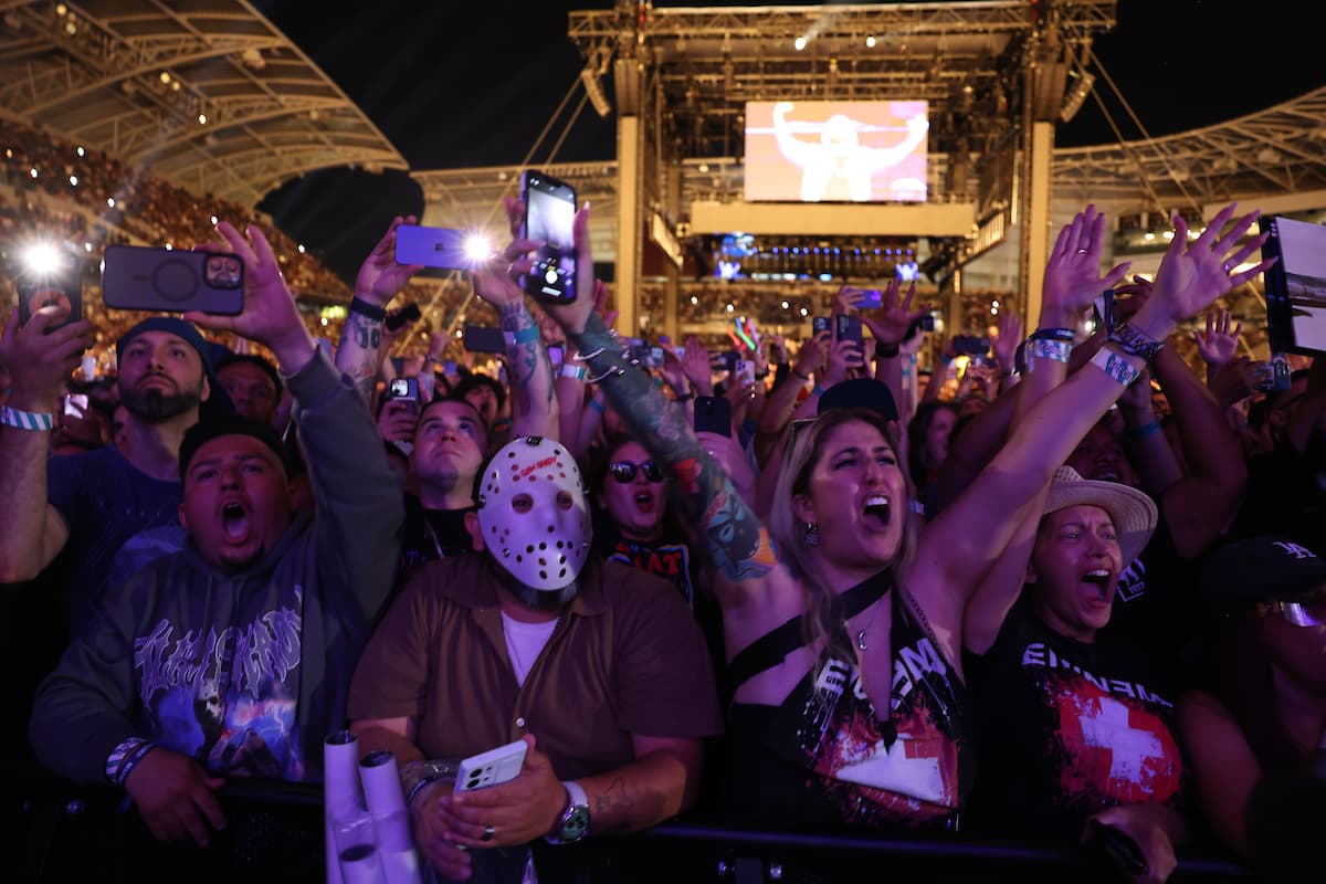 Fans during the Eminem performance