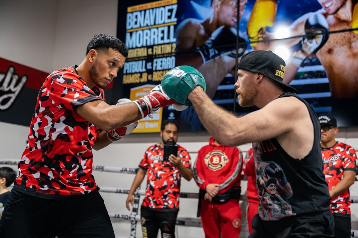 David Benavidez mitt work