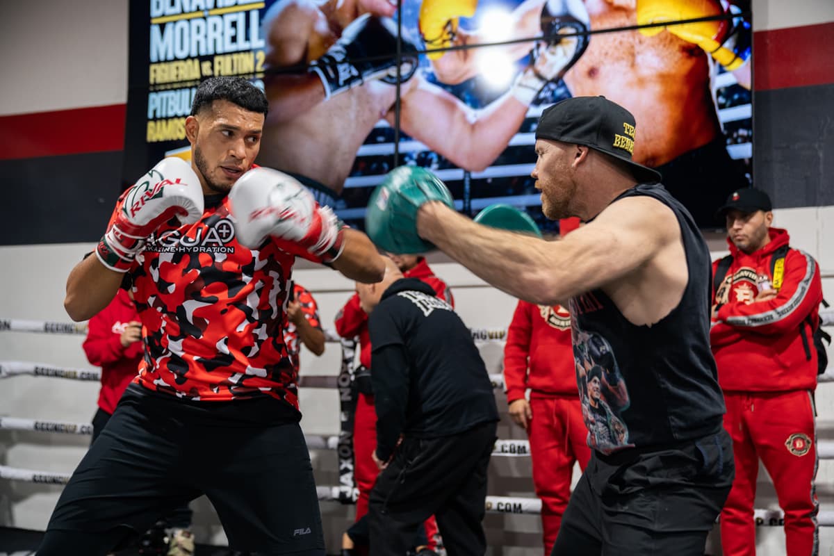 David Benavidez mitt work