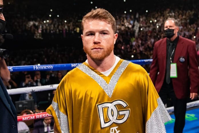 Canelo Alvarez in the ring during his boxing match