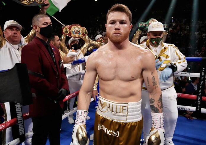 Saul Canelo Alvarez is in the ring during his boxing match